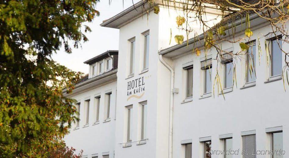Hotel Am Rhein Wesseling Exterior photo